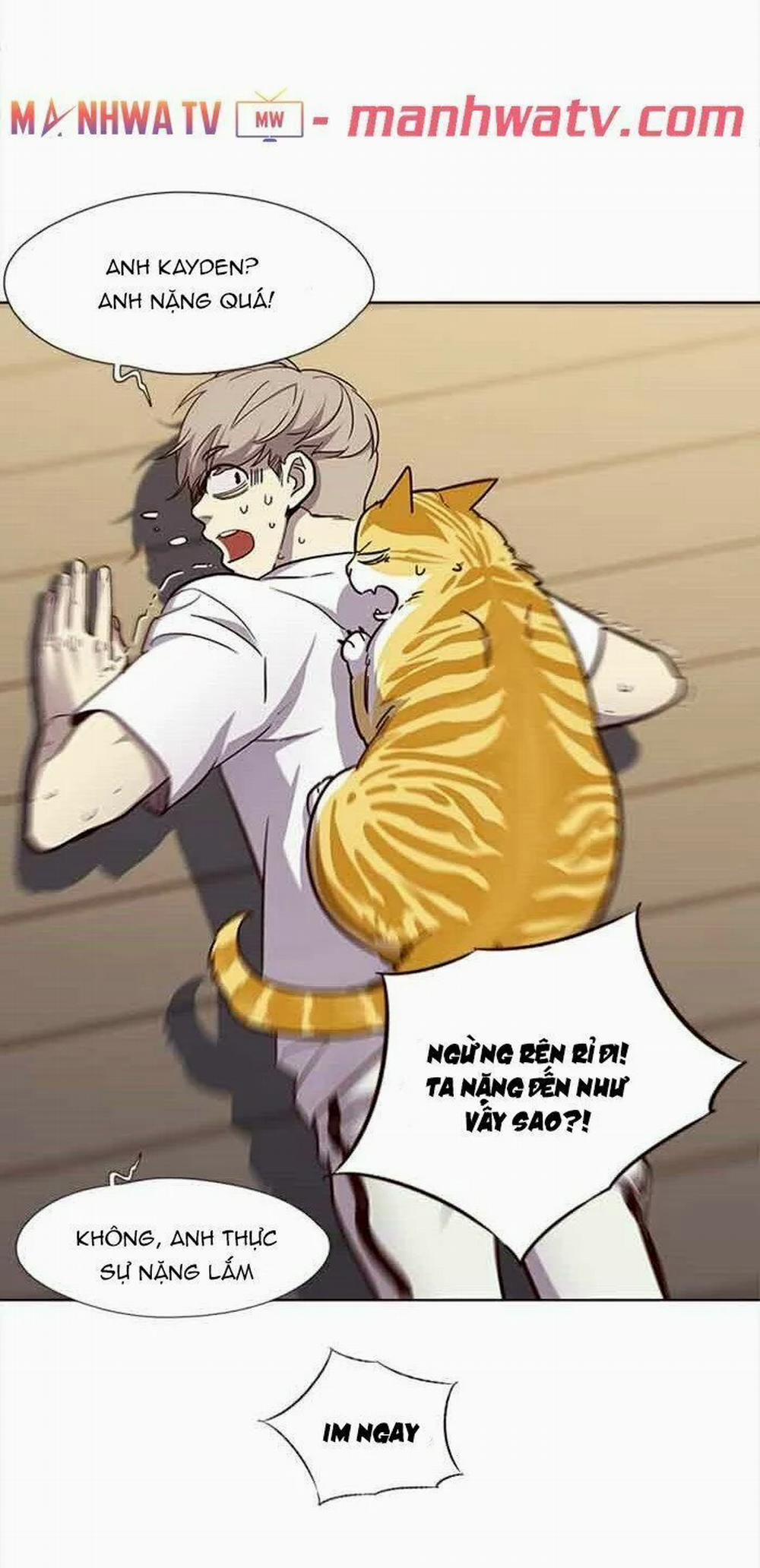 Hóa Thân Thành Mèo 23 trang 21