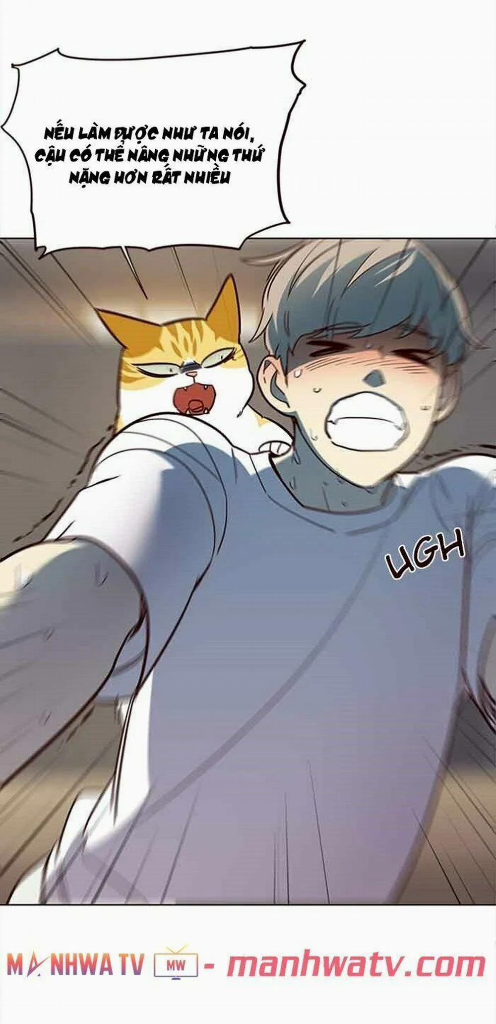 Hóa Thân Thành Mèo 23 trang 22