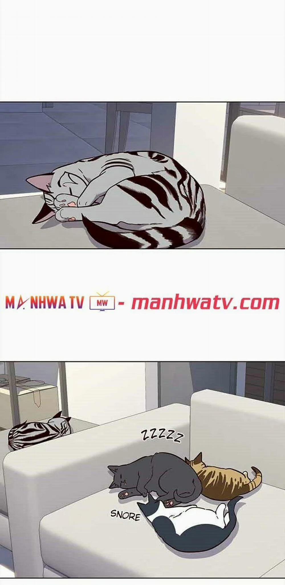 Hóa Thân Thành Mèo 23 trang 29