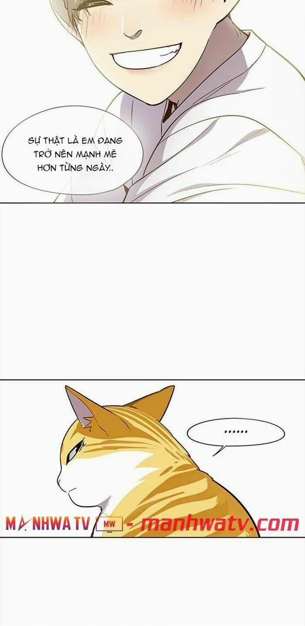 Hóa Thân Thành Mèo 23 trang 41