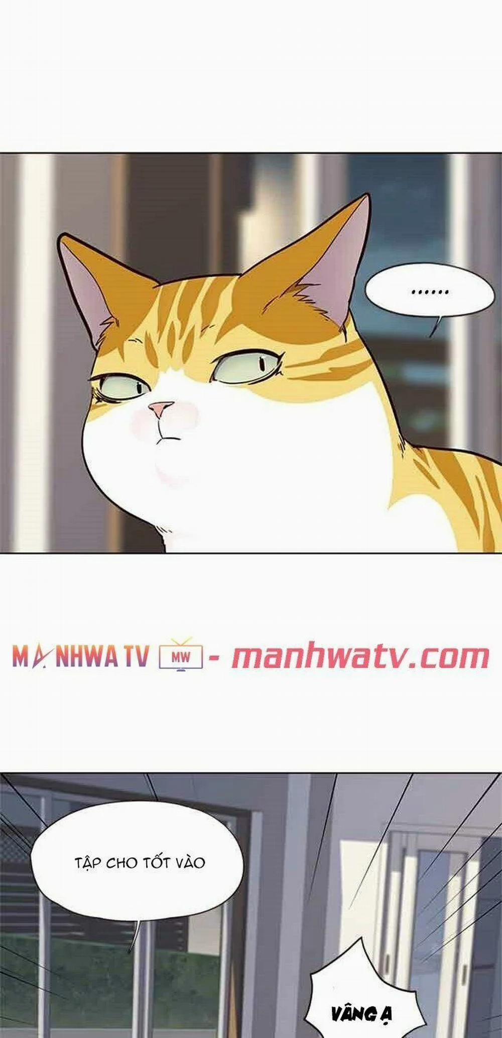 Hóa Thân Thành Mèo 23 trang 45