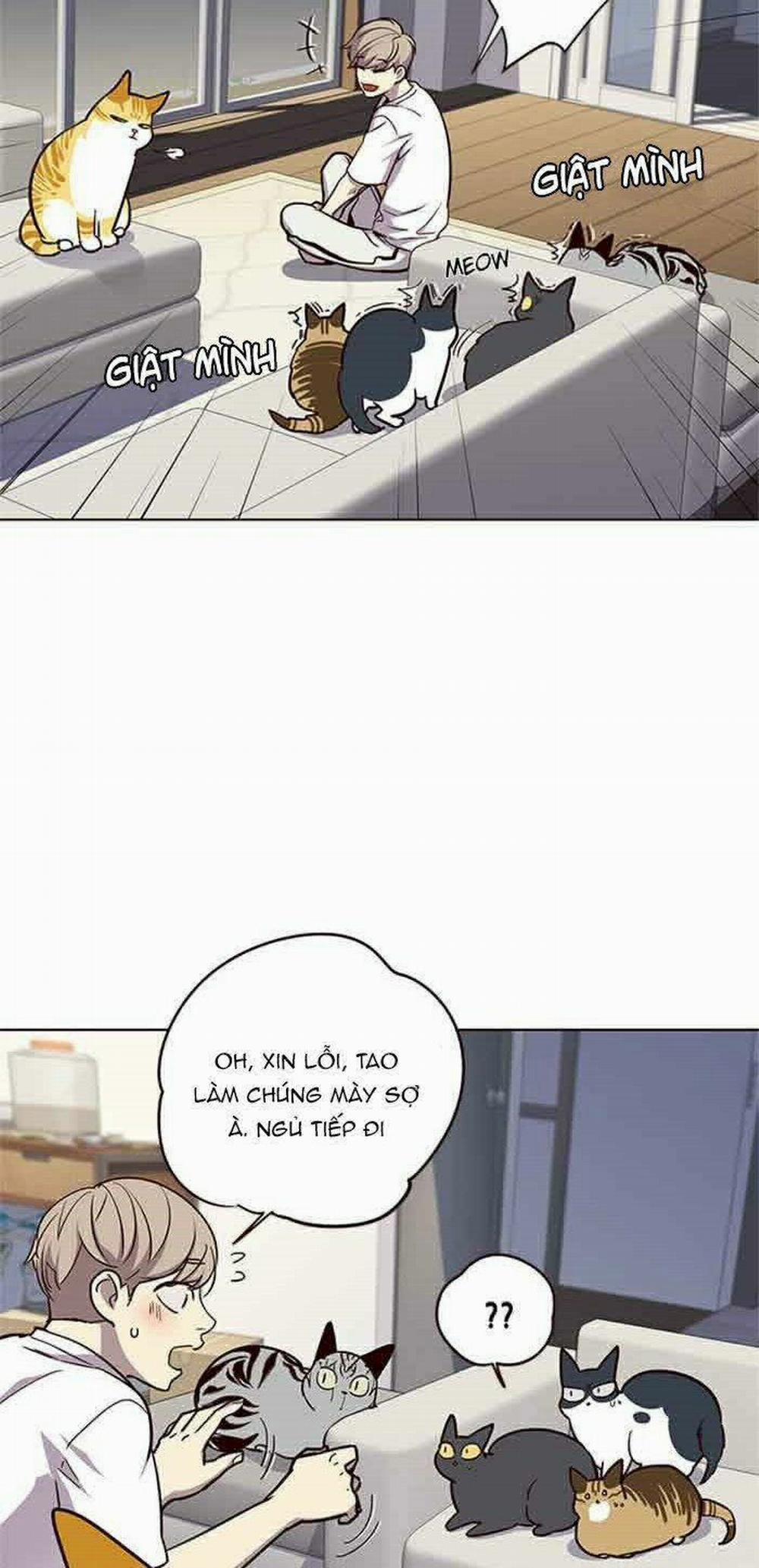 Hóa Thân Thành Mèo 23 trang 46