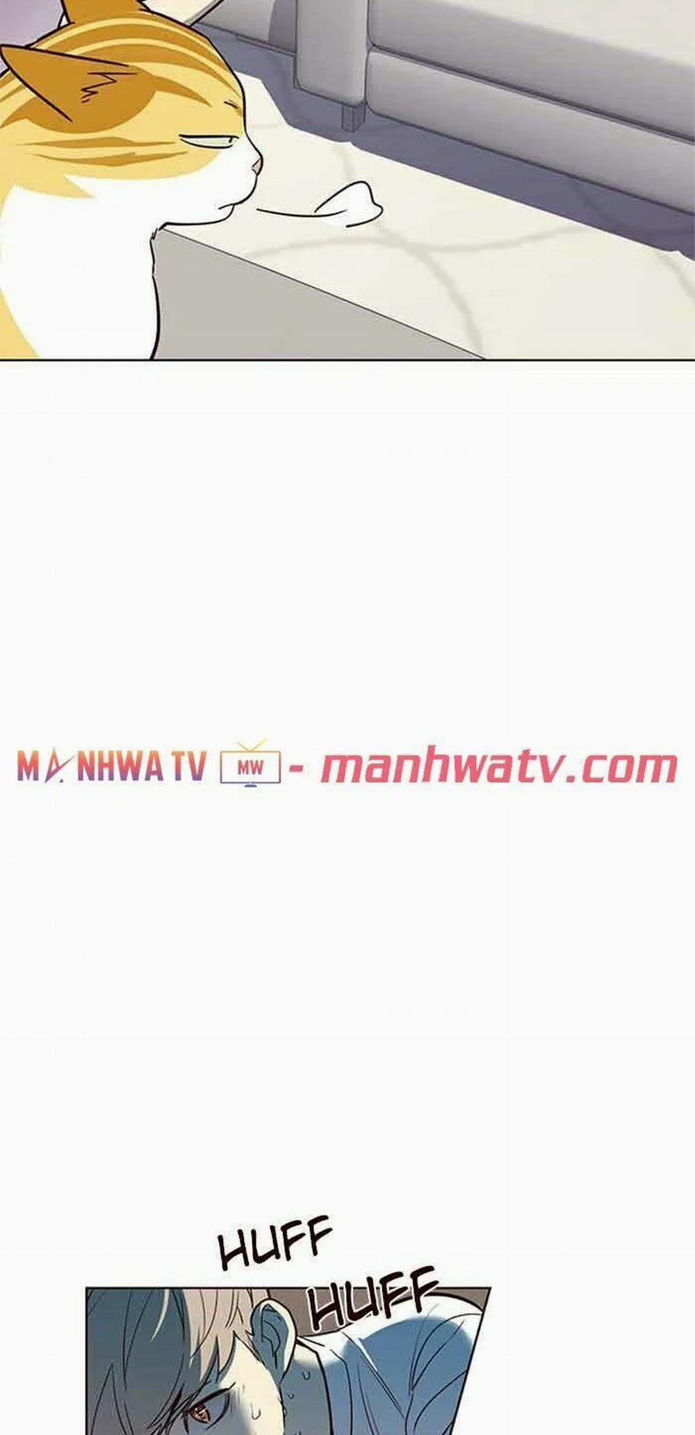 Hóa Thân Thành Mèo 23 trang 47