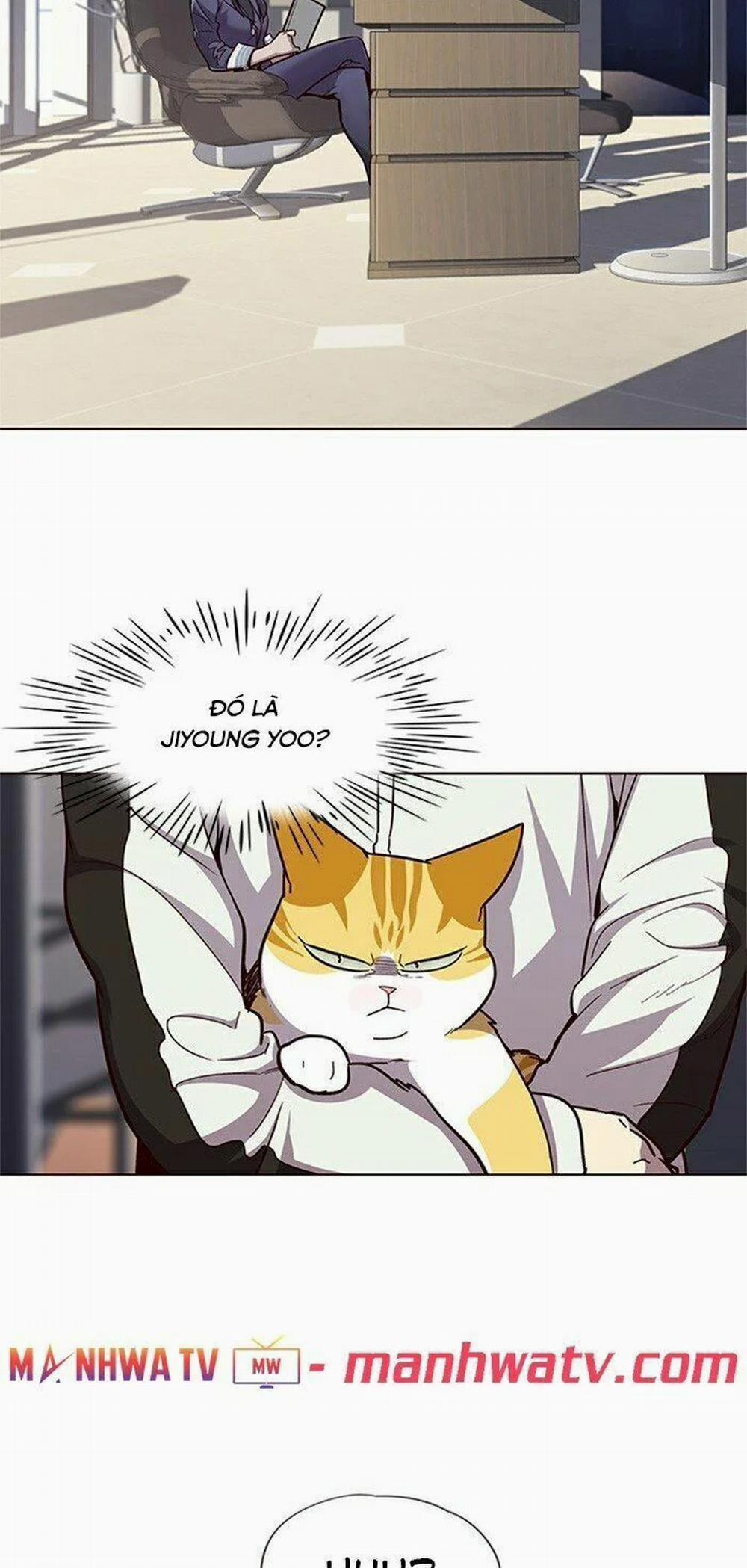 Hóa Thân Thành Mèo 24 trang 13