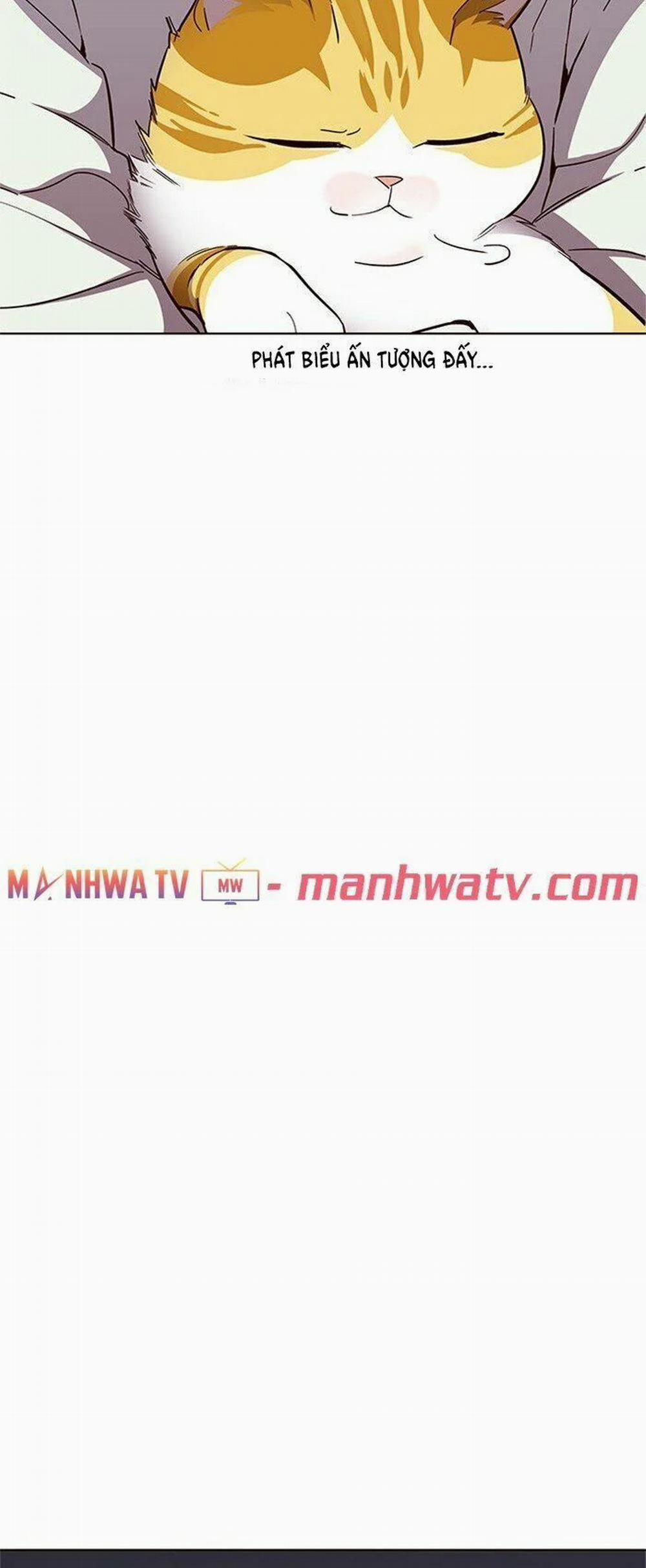 Hóa Thân Thành Mèo 24 trang 32