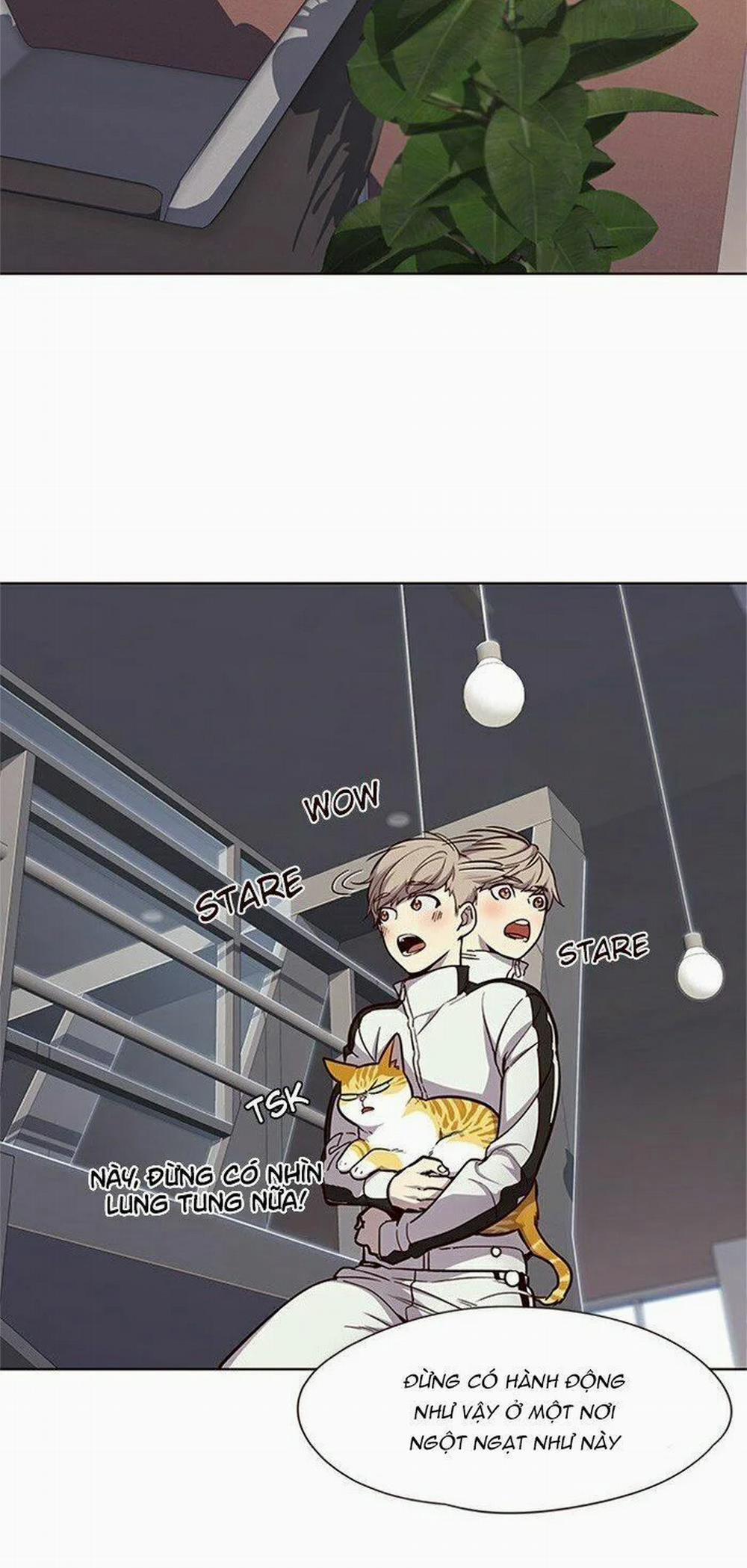 Hóa Thân Thành Mèo 24 trang 5