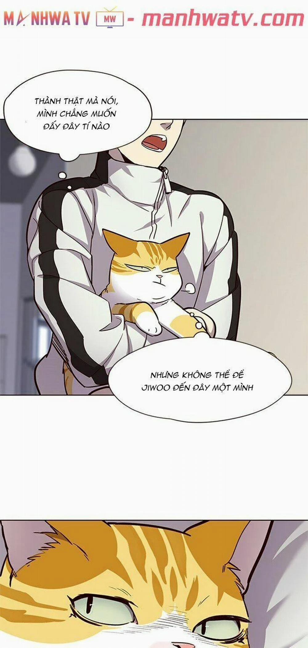 Hóa Thân Thành Mèo 24 trang 6