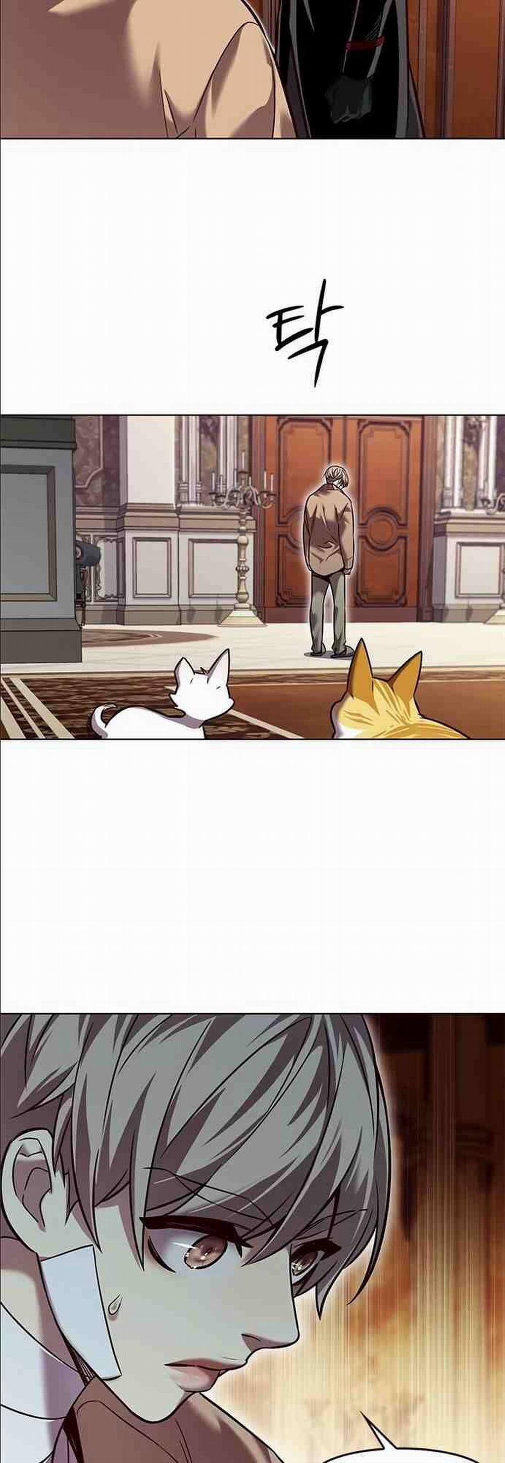 Hóa Thân Thành Mèo 255.1 trang 50