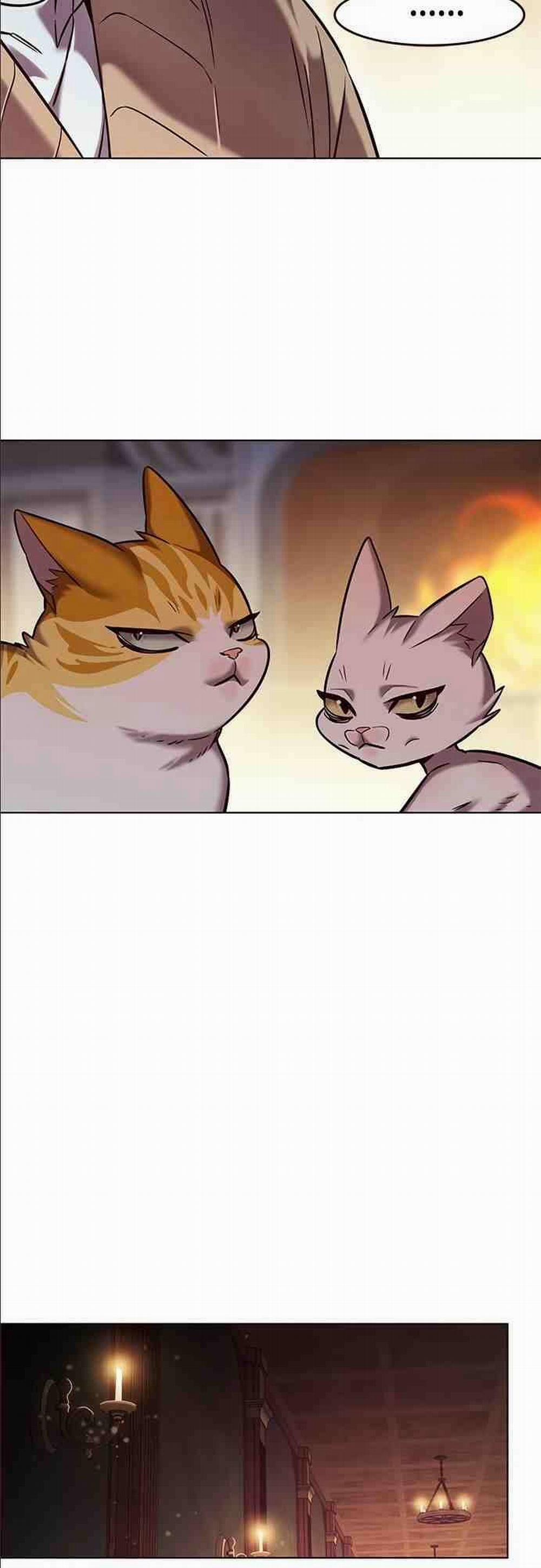 Hóa Thân Thành Mèo 255.1 trang 51