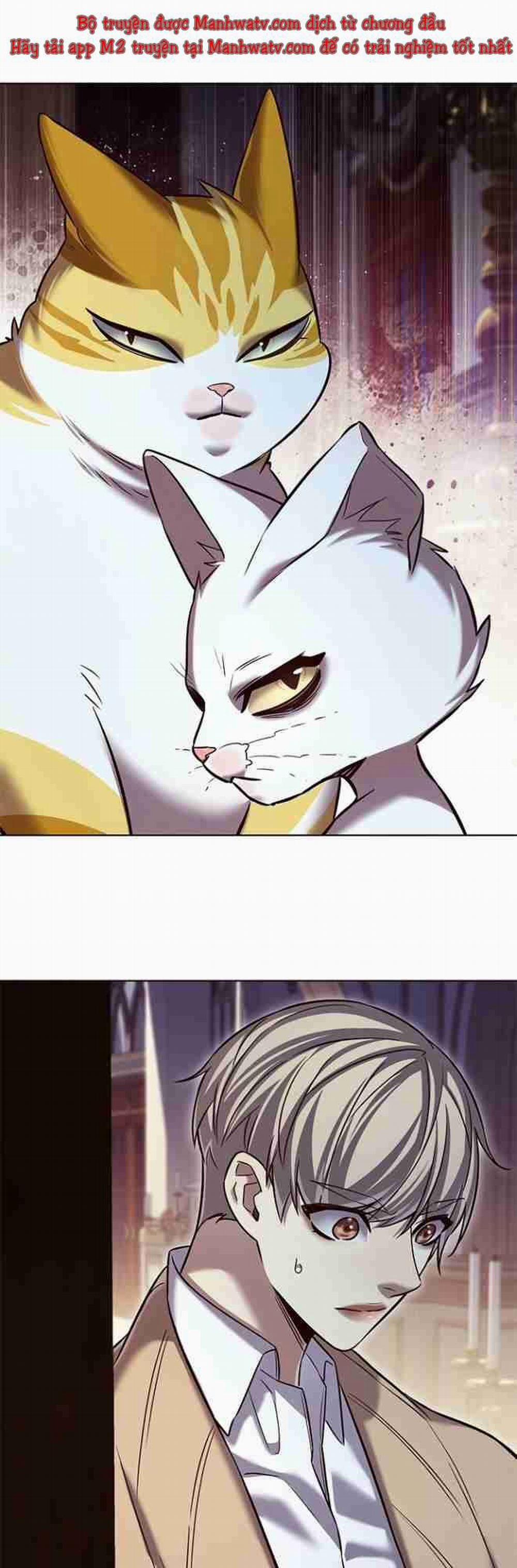 Hóa Thân Thành Mèo 256.1 trang 30