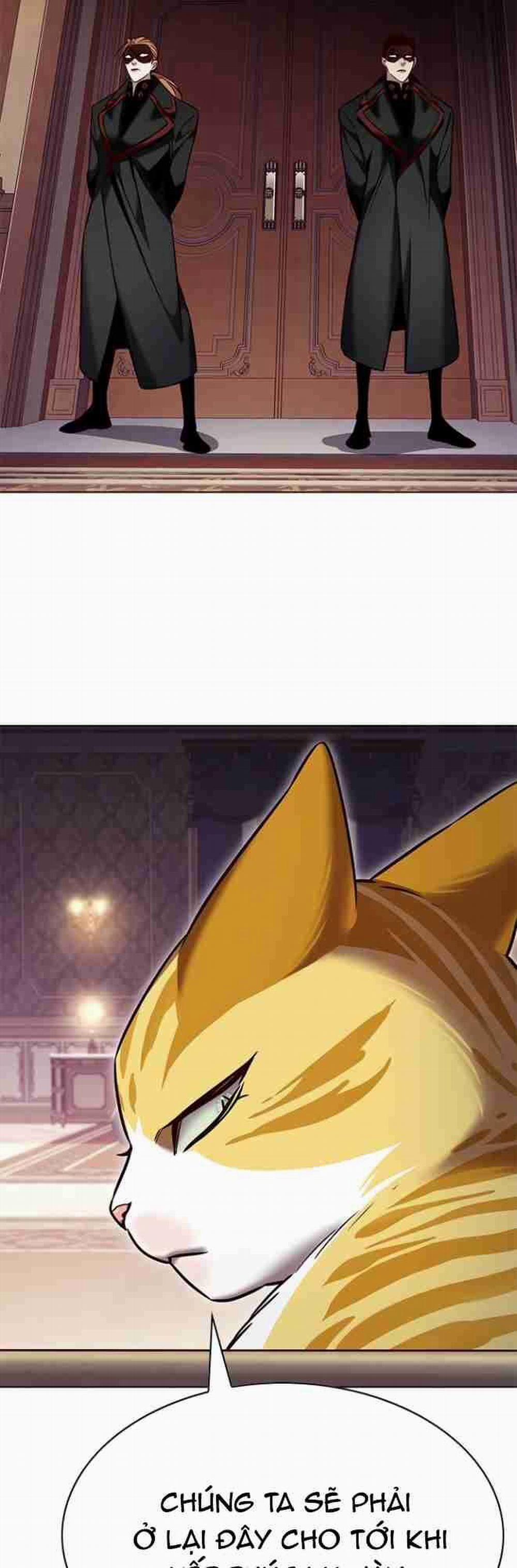 Hóa Thân Thành Mèo 256.1 trang 41