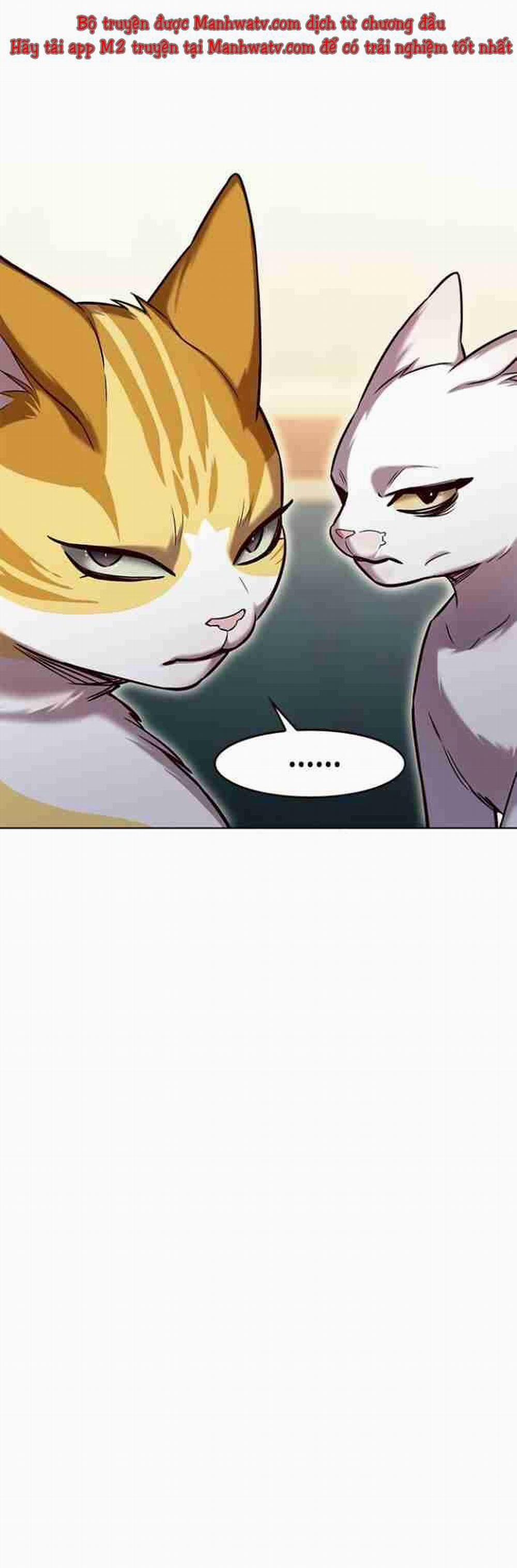 Hóa Thân Thành Mèo 256.1 trang 45