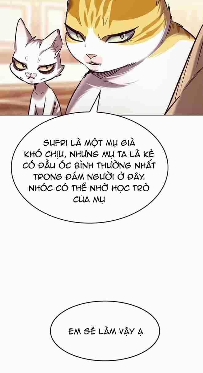 Hóa Thân Thành Mèo 256 trang 12