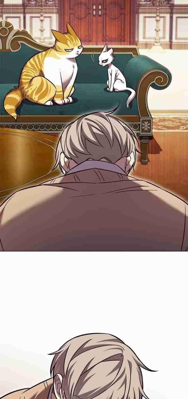 Hóa Thân Thành Mèo 256 trang 42