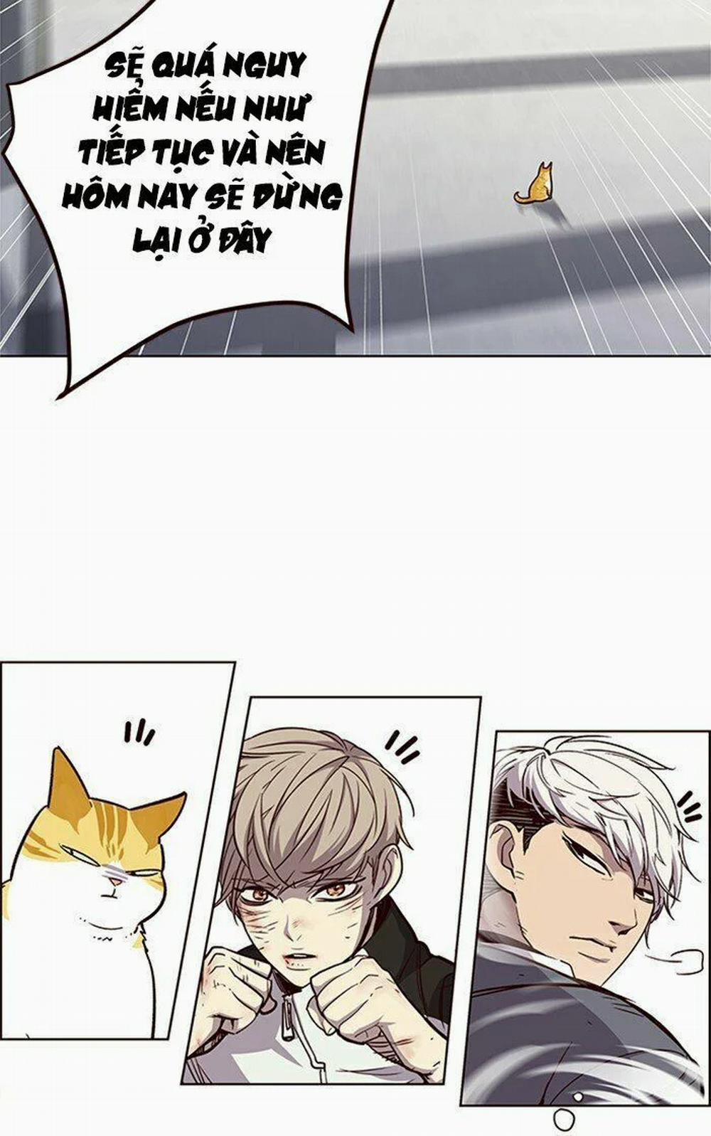 Hóa Thân Thành Mèo 26 trang 18