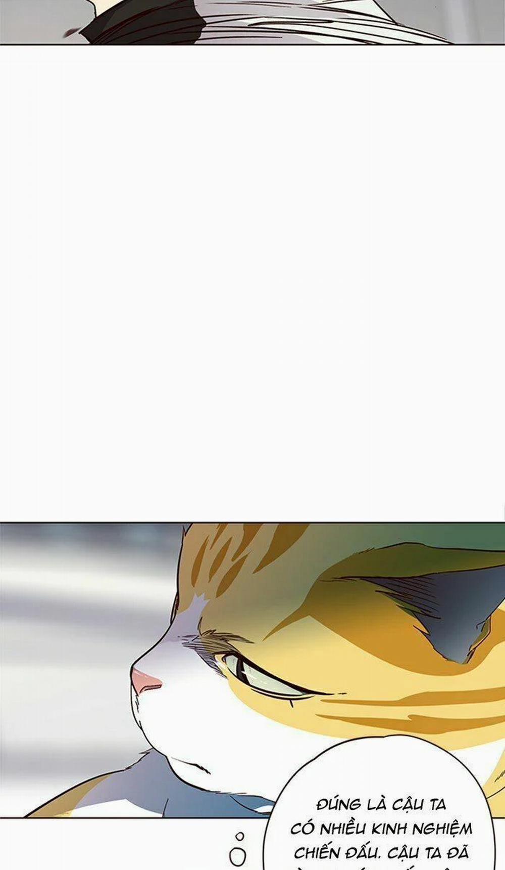 Hóa Thân Thành Mèo 26 trang 62