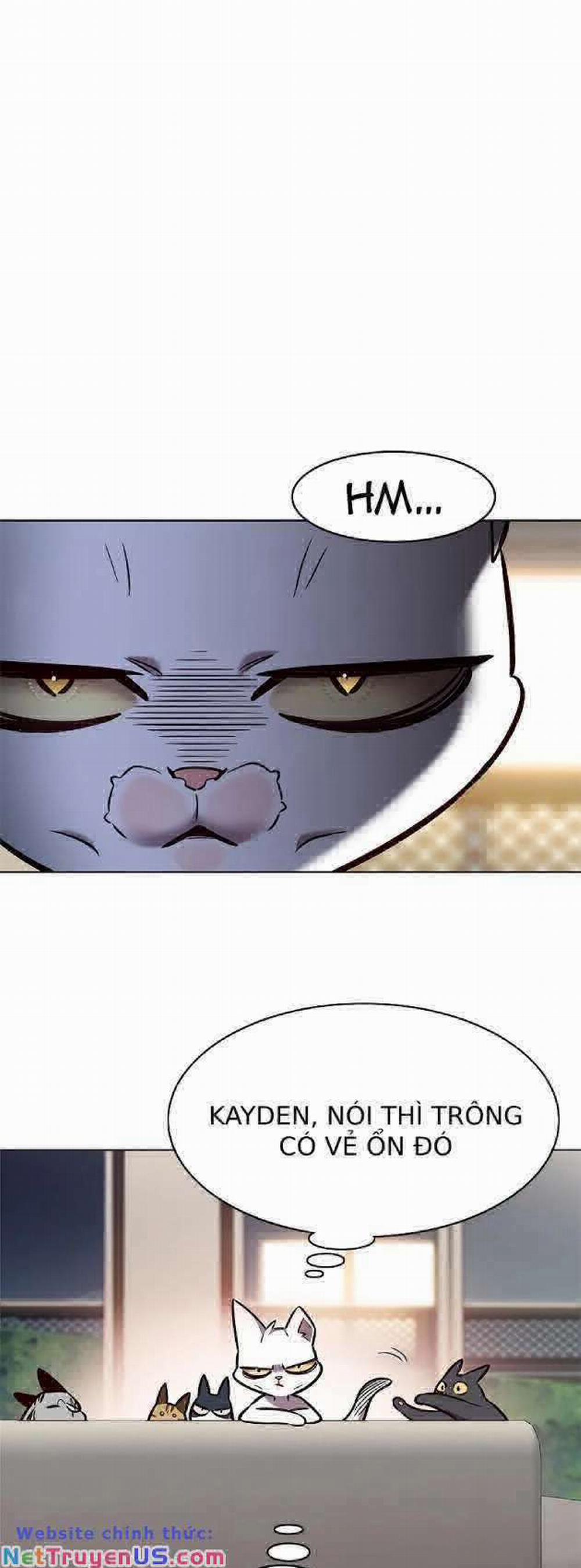 Hóa Thân Thành Mèo 262 trang 49
