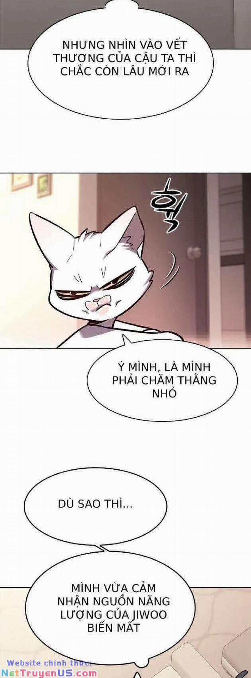 Hóa Thân Thành Mèo 262 trang 50