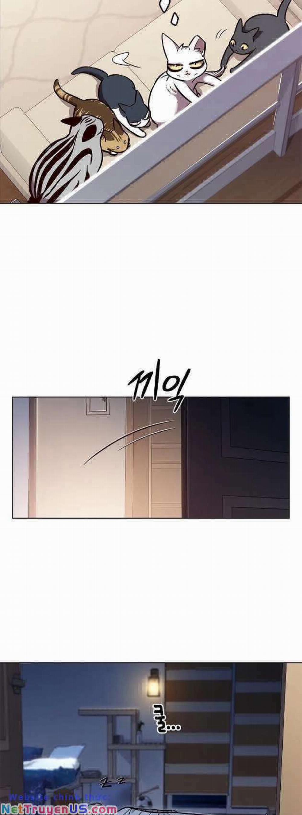 Hóa Thân Thành Mèo 262 trang 51