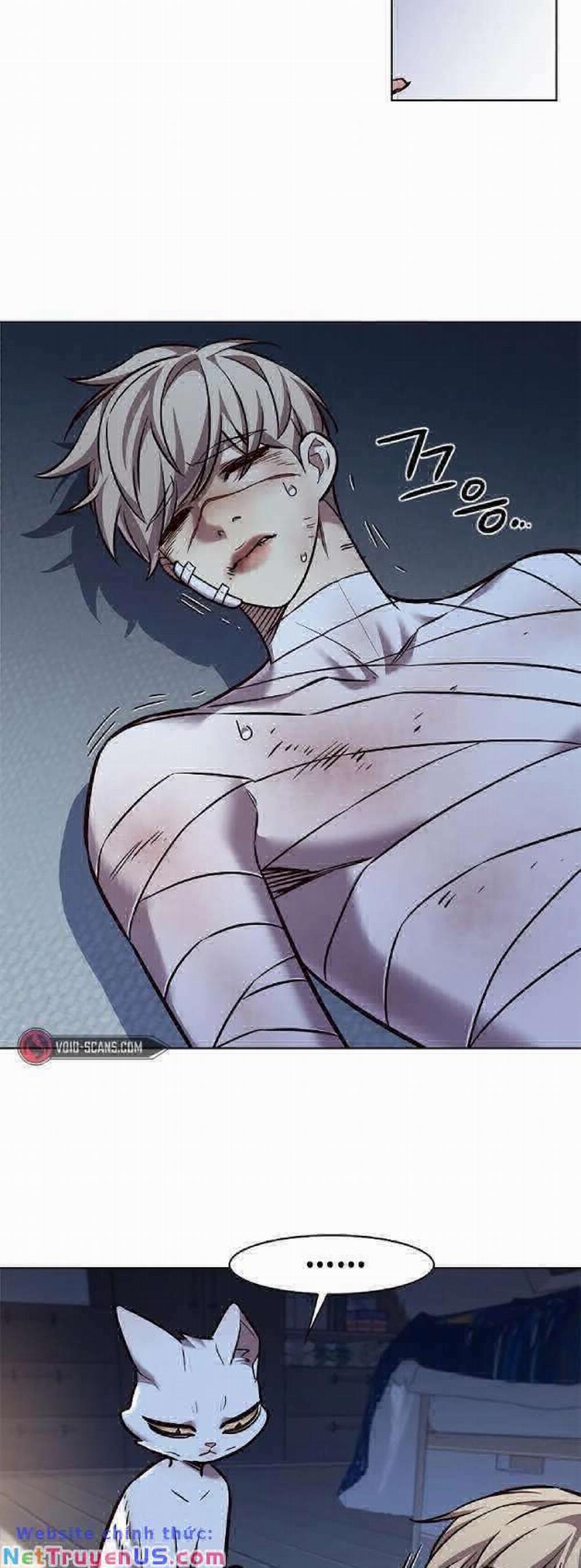 Hóa Thân Thành Mèo 262 trang 53