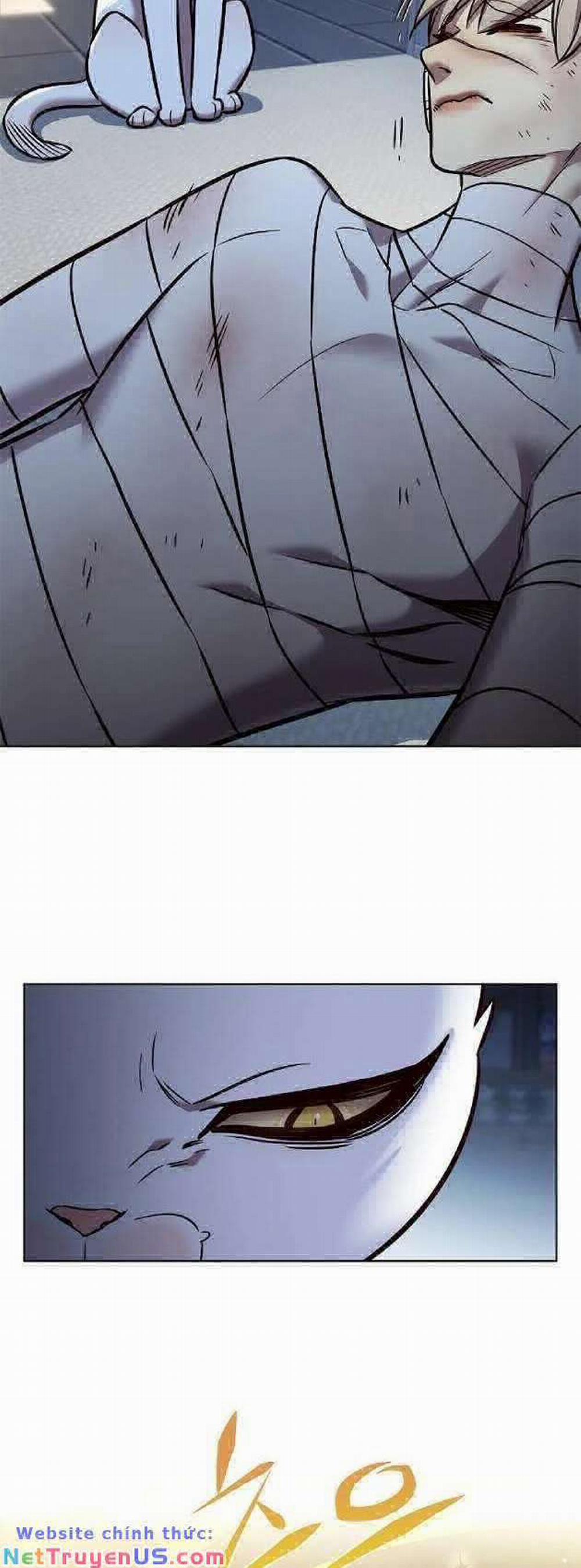 Hóa Thân Thành Mèo 262 trang 54