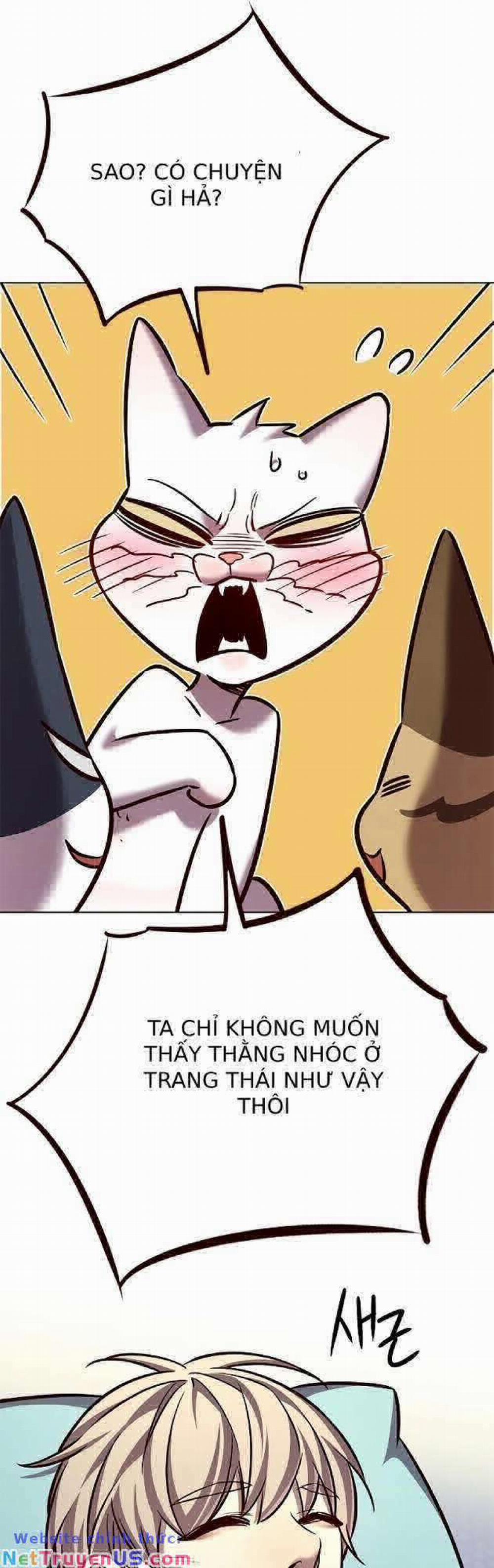 Hóa Thân Thành Mèo 262 trang 59