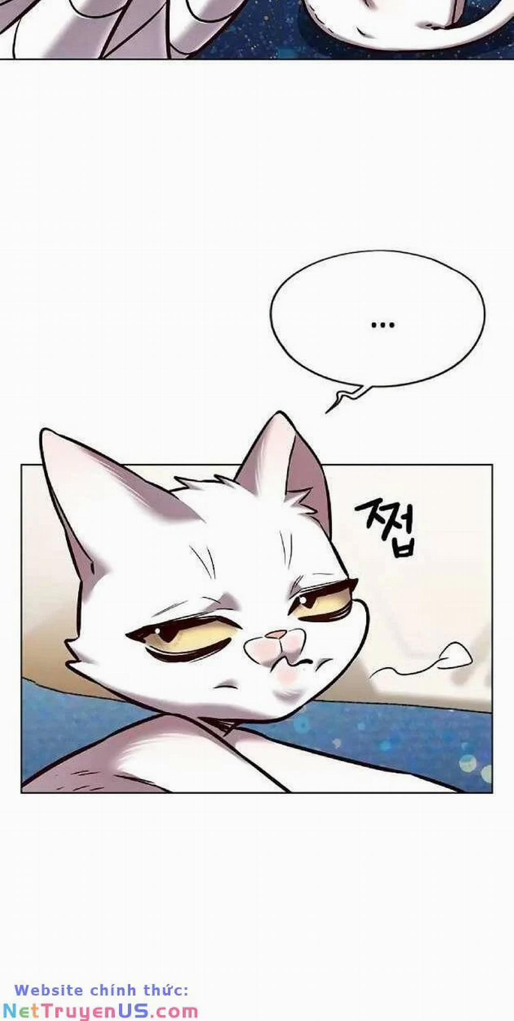 Hóa Thân Thành Mèo 263 trang 5