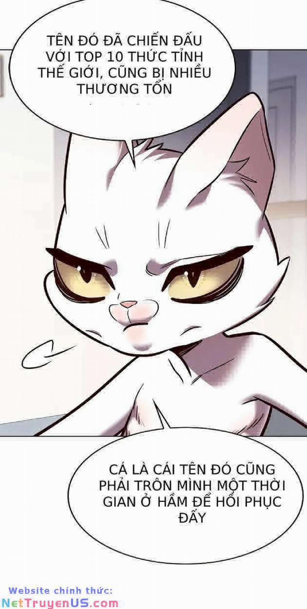 Hóa Thân Thành Mèo 263 trang 8