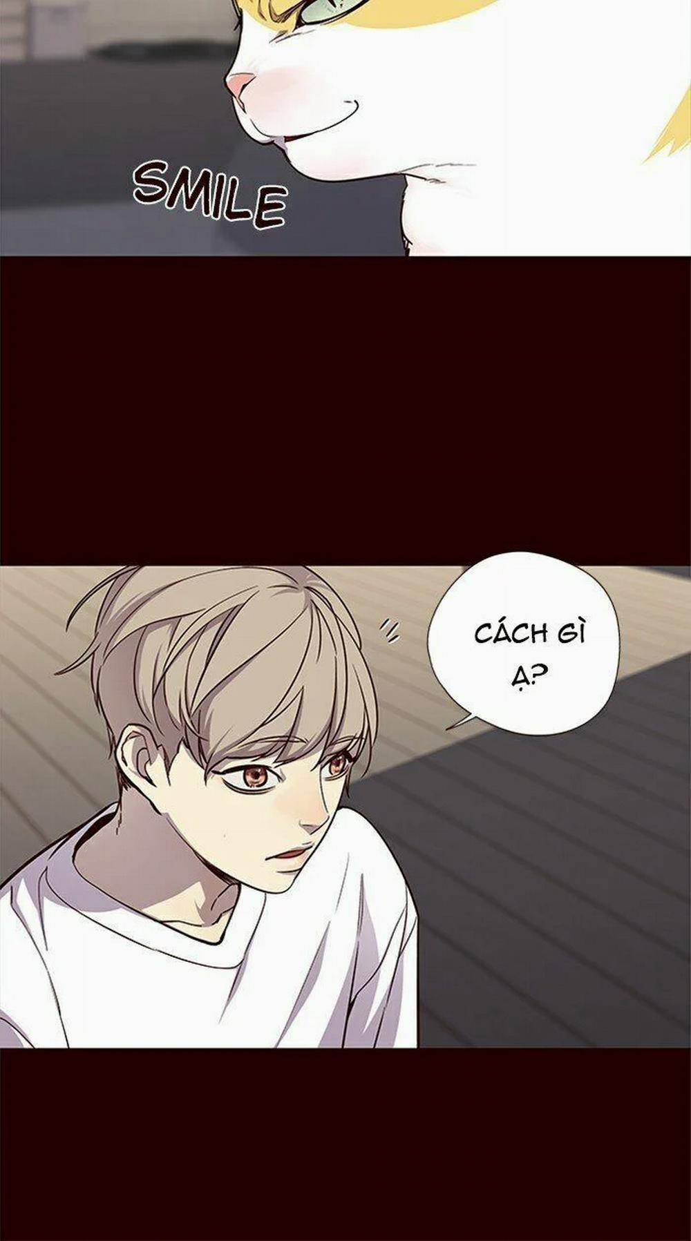 Hóa Thân Thành Mèo 27 trang 40