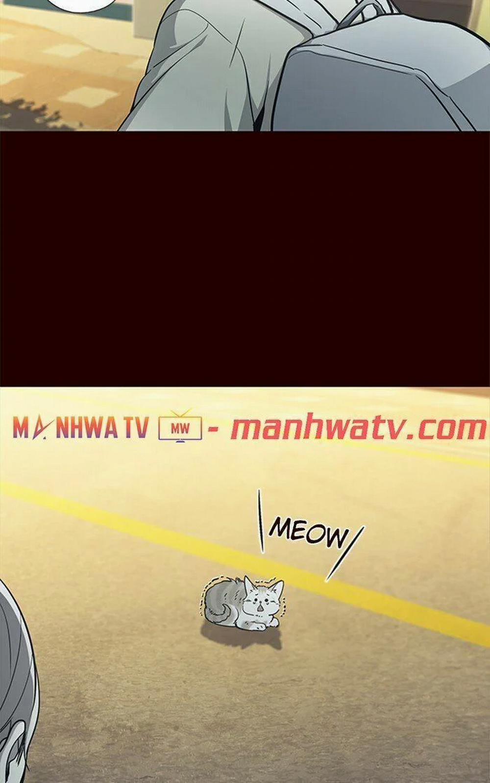 Hóa Thân Thành Mèo 27 trang 6