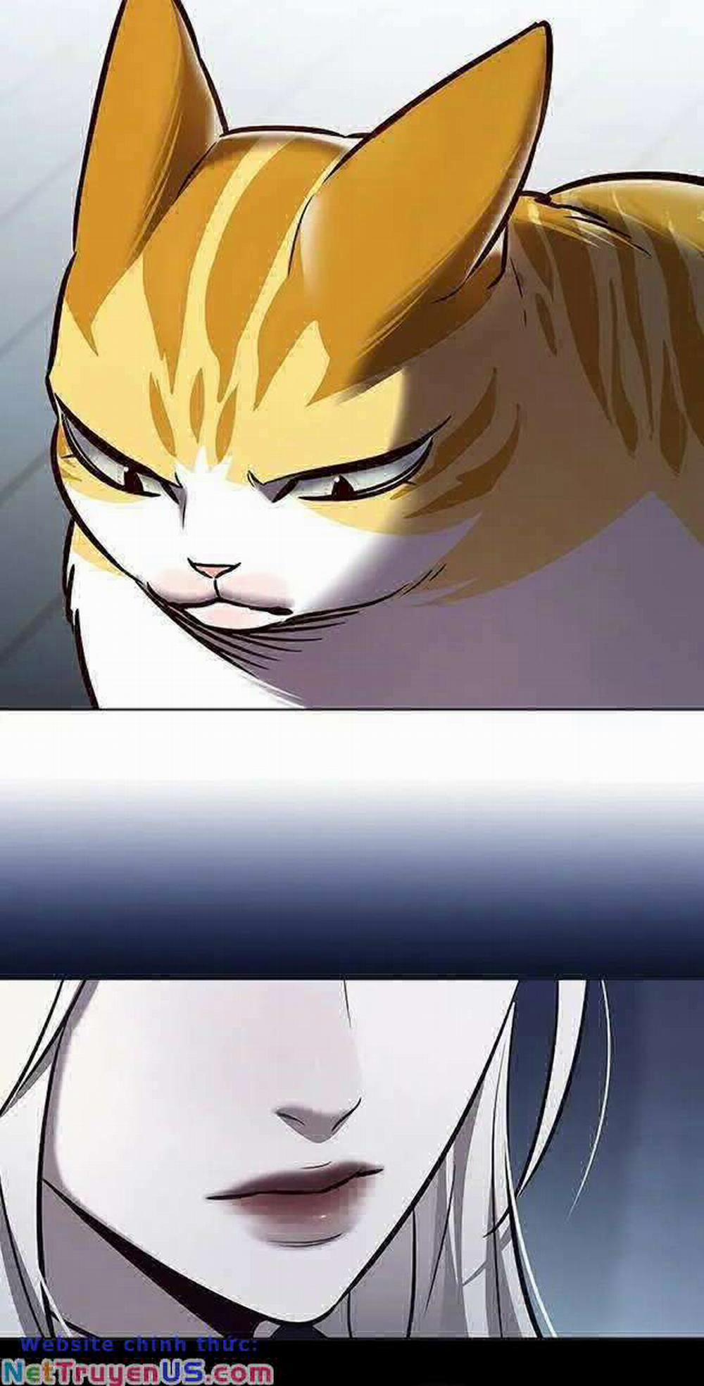 Hóa Thân Thành Mèo 270 trang 19
