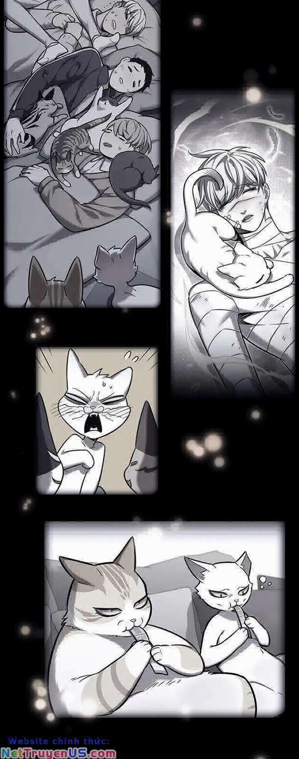 Hóa Thân Thành Mèo 270 trang 65