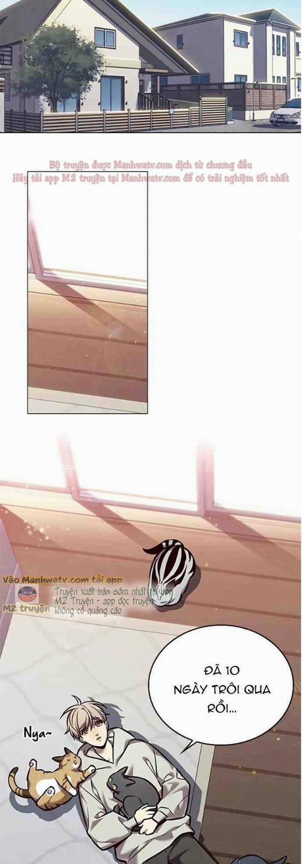 Hóa Thân Thành Mèo 271 trang 19