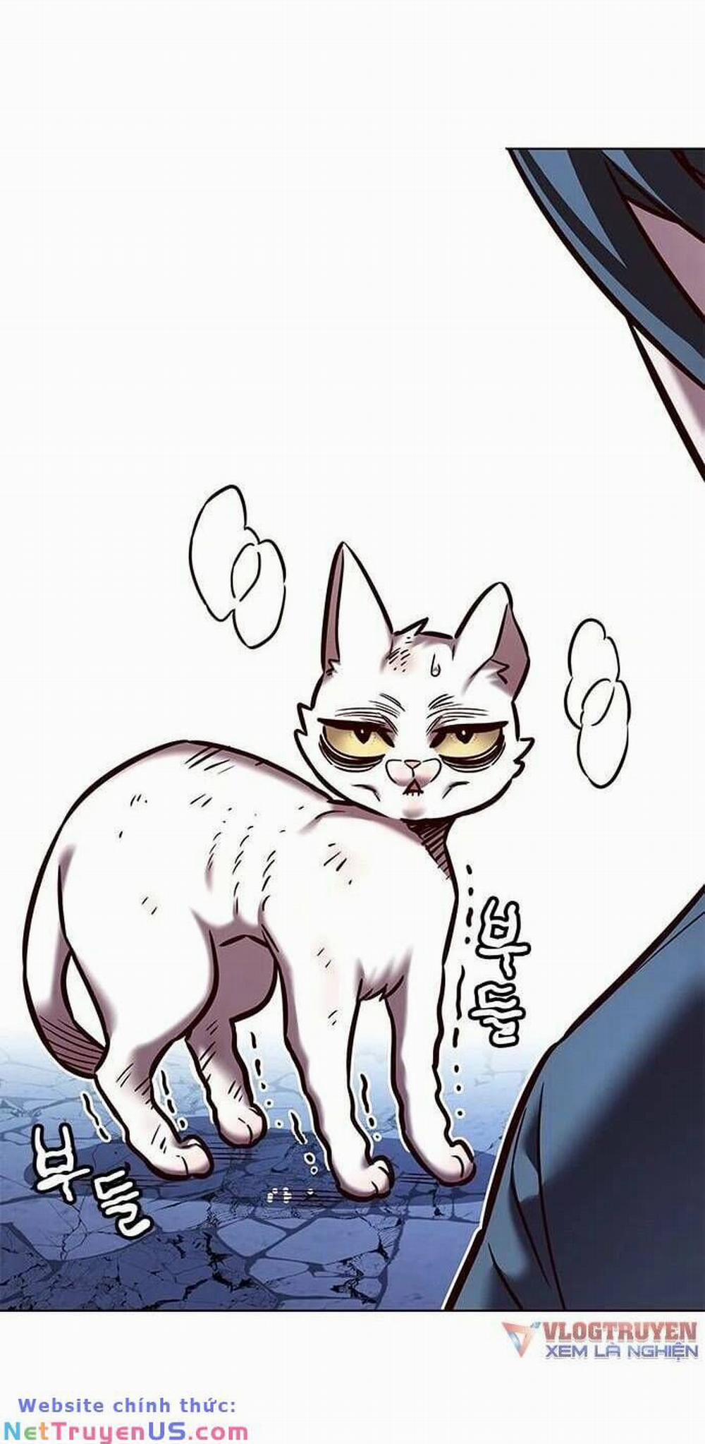 Hóa Thân Thành Mèo 275 trang 21