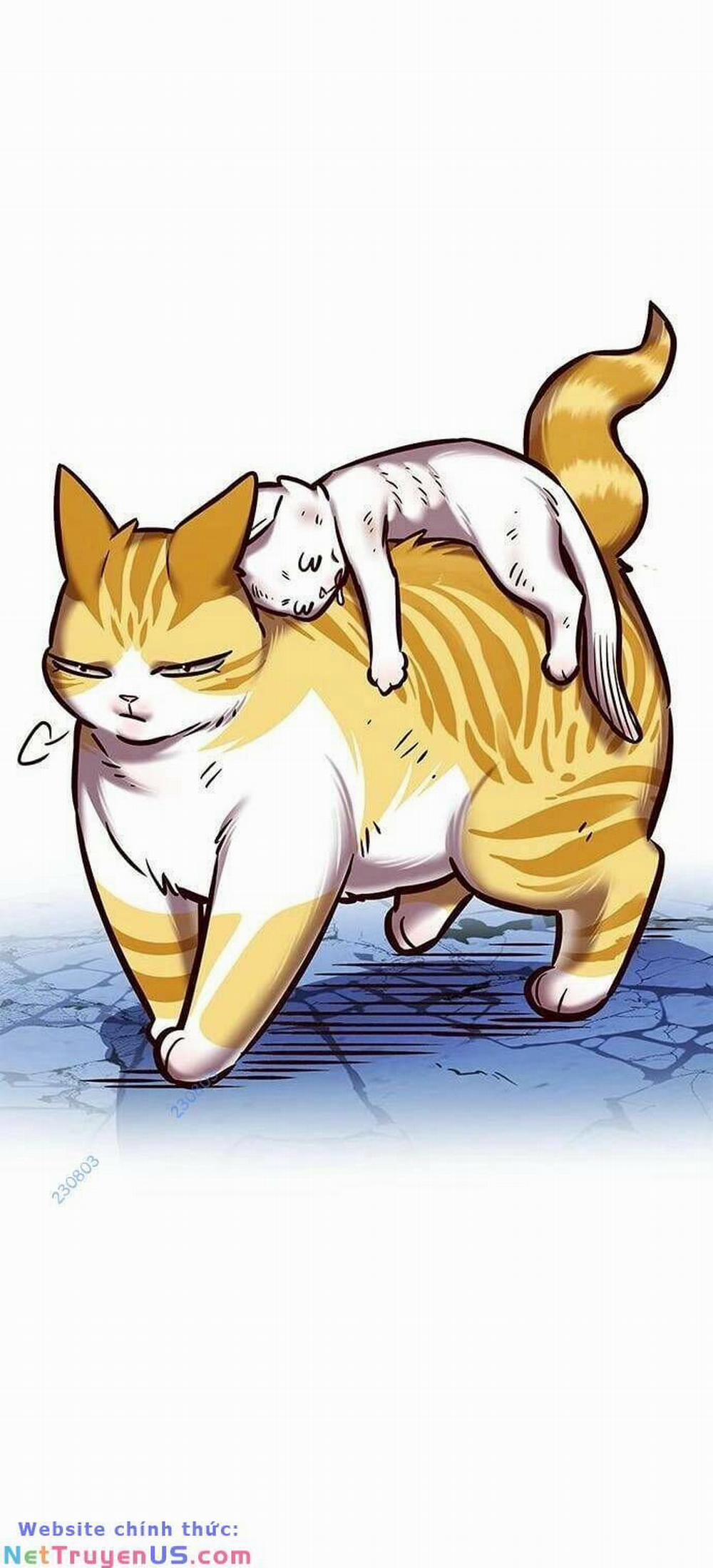 Hóa Thân Thành Mèo 275 trang 39