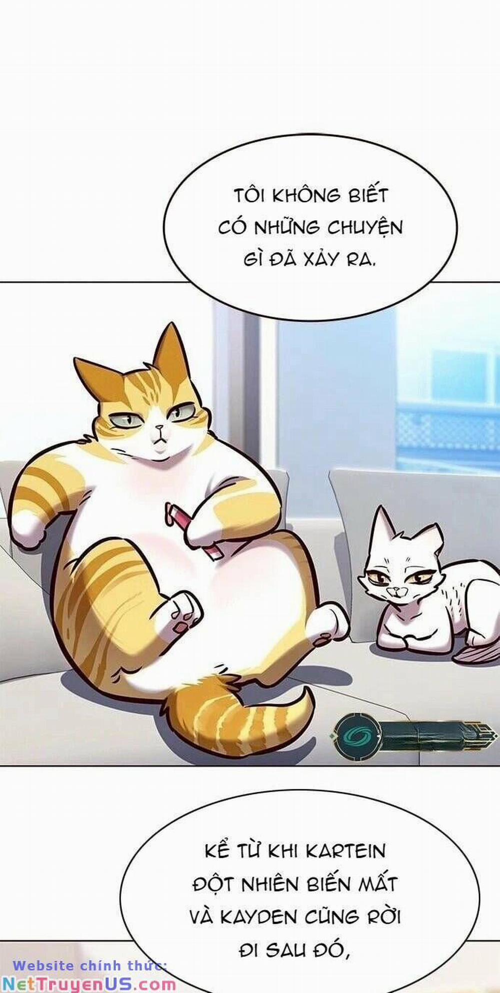 Hóa Thân Thành Mèo 275 trang 46