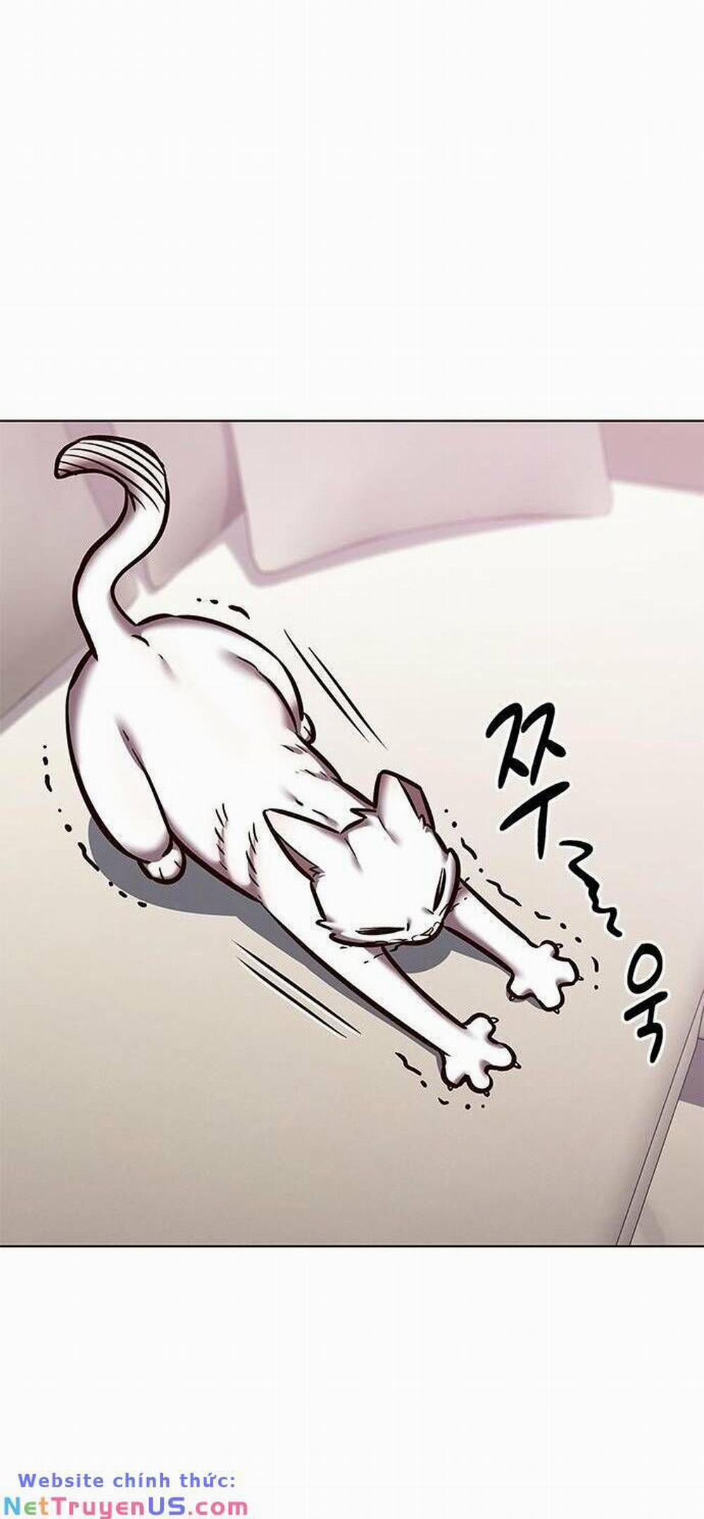 Hóa Thân Thành Mèo 275 trang 61