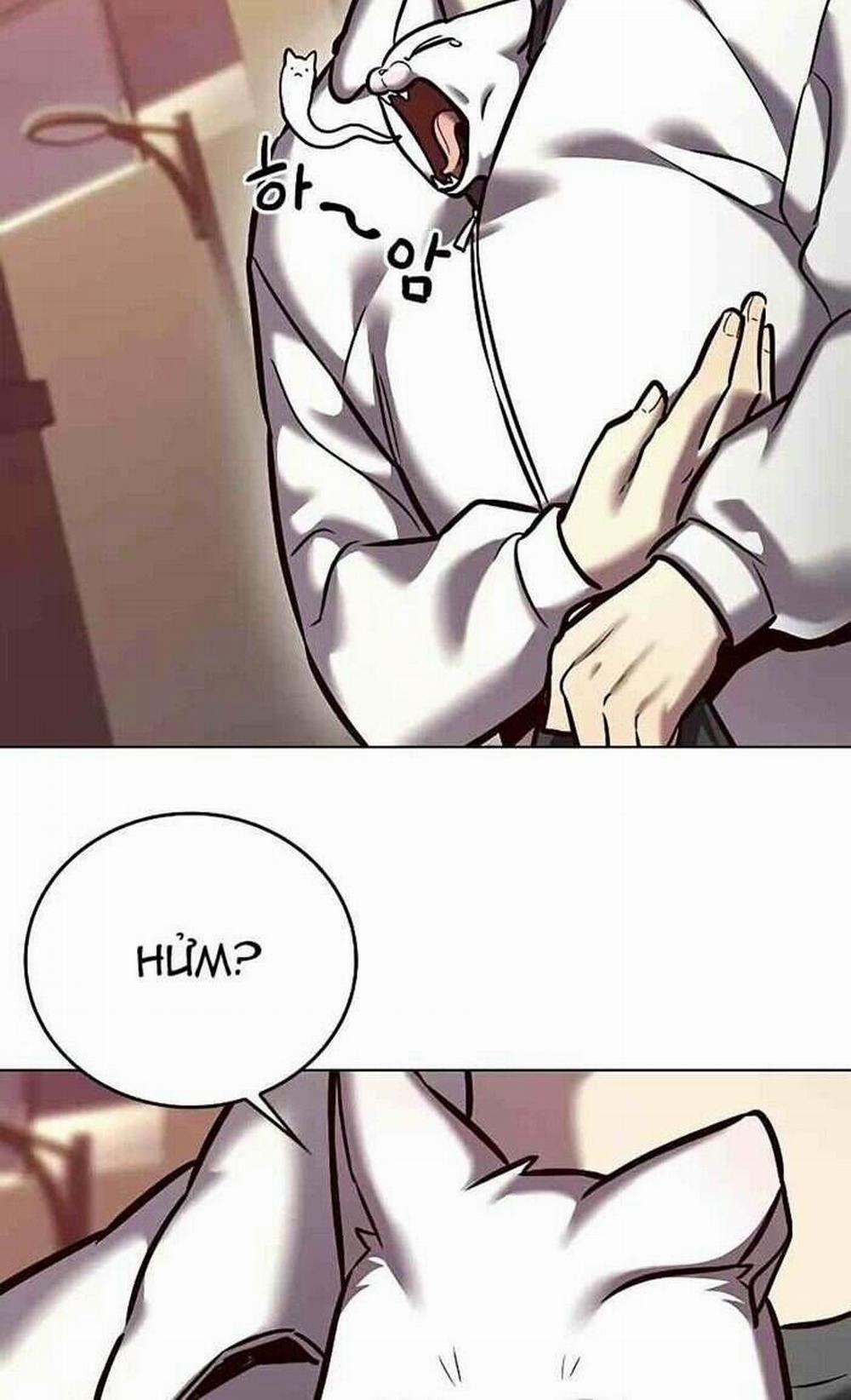 Hóa Thân Thành Mèo 277 trang 10