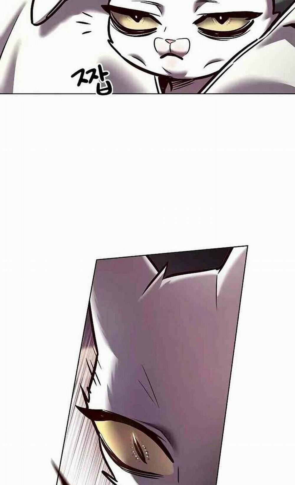 Hóa Thân Thành Mèo 277 trang 11