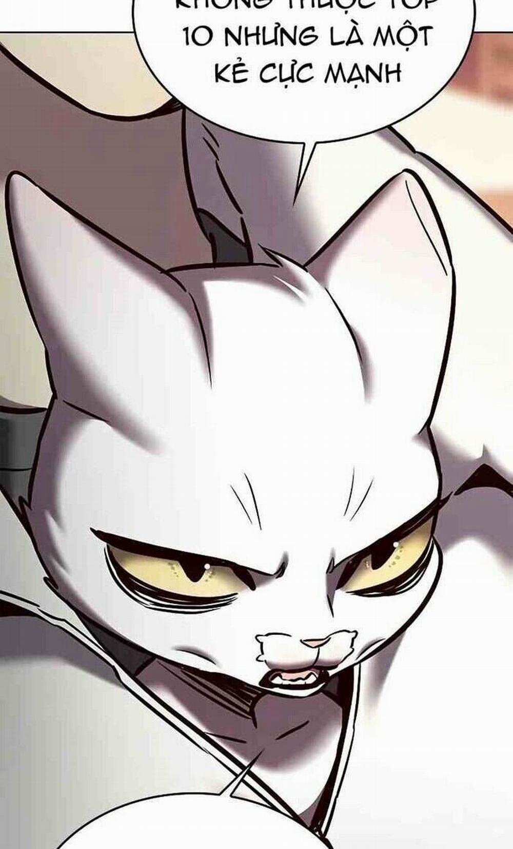 Hóa Thân Thành Mèo 277 trang 18