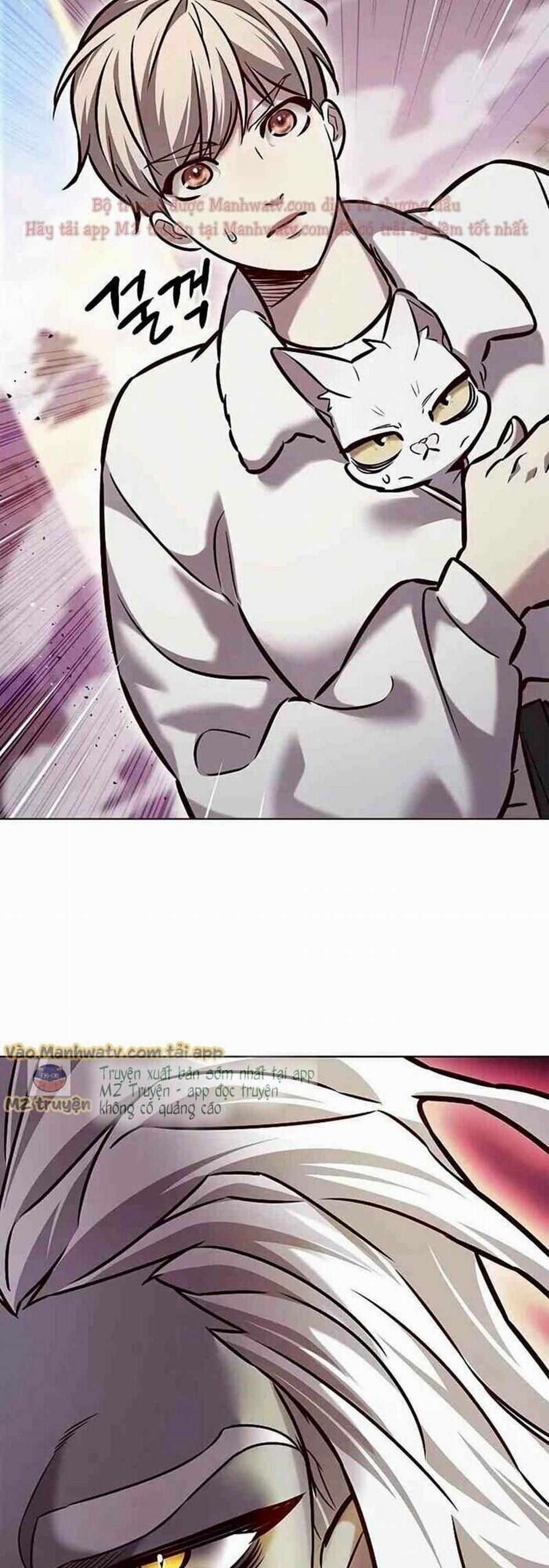 Hóa Thân Thành Mèo 277 trang 48