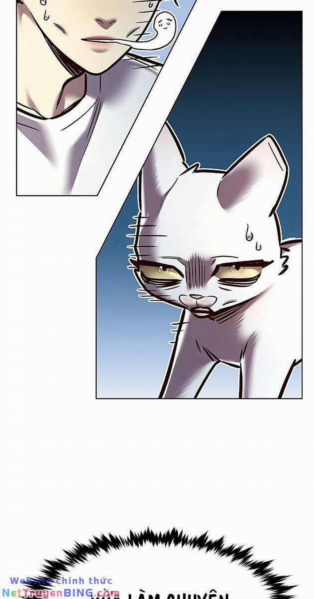 Hóa Thân Thành Mèo 278 trang 7