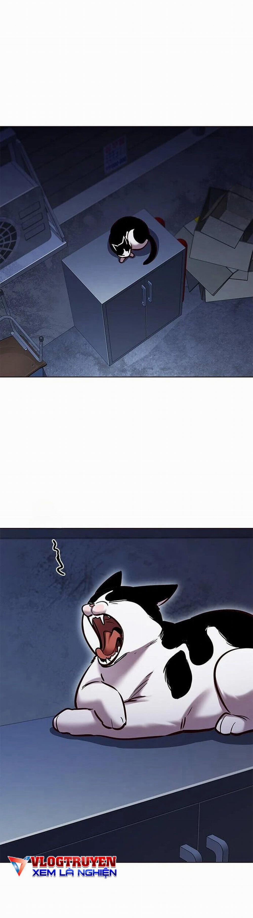 Hóa Thân Thành Mèo 279 trang 19