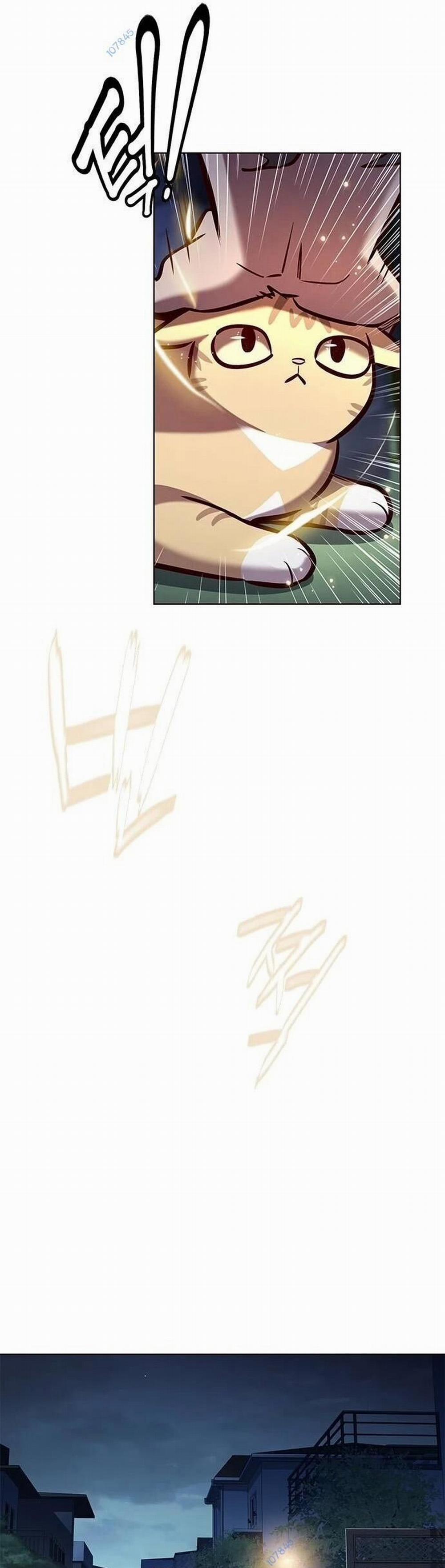 Hóa Thân Thành Mèo 279 trang 28