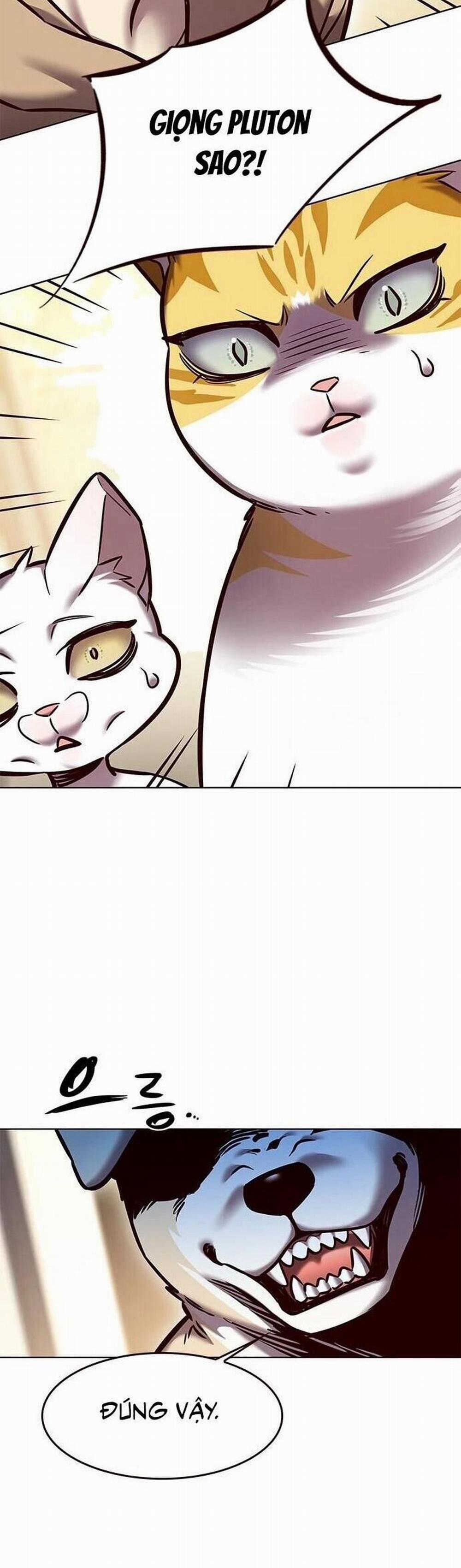 Hóa Thân Thành Mèo 279 trang 39