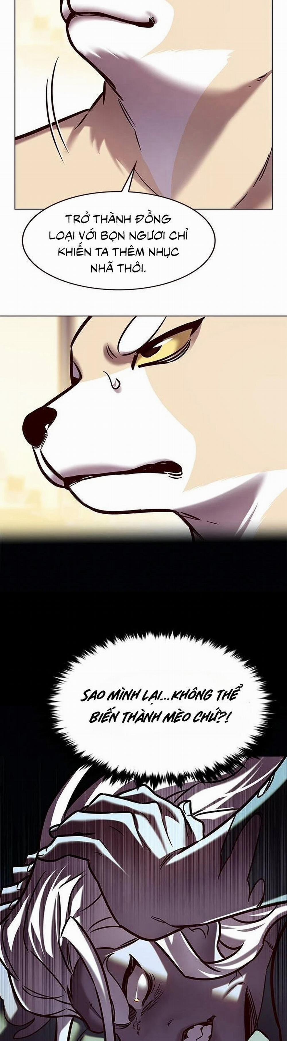 Hóa Thân Thành Mèo 279 trang 42