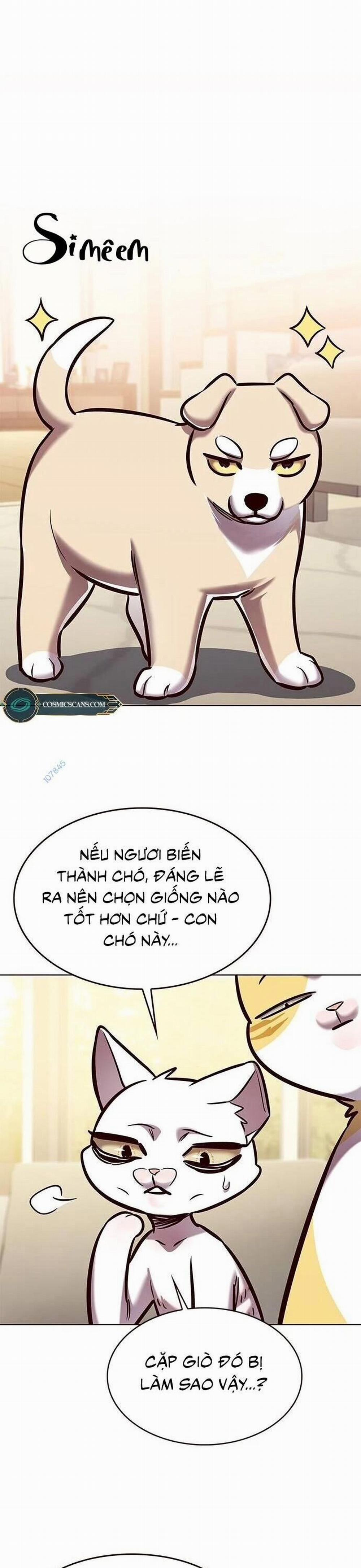 Hóa Thân Thành Mèo 279 trang 45