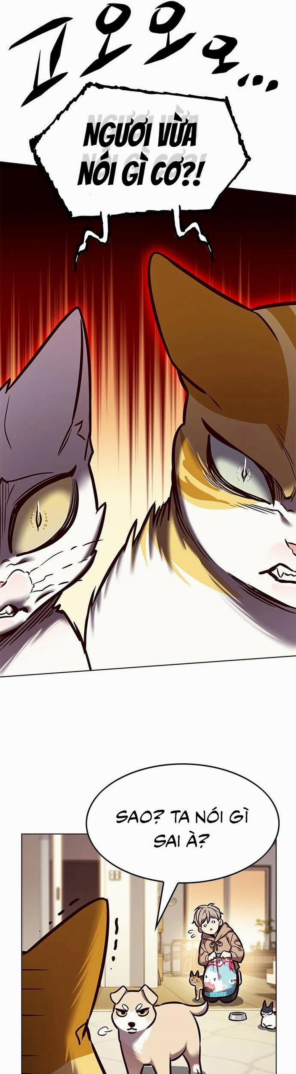 Hóa Thân Thành Mèo 279 trang 47
