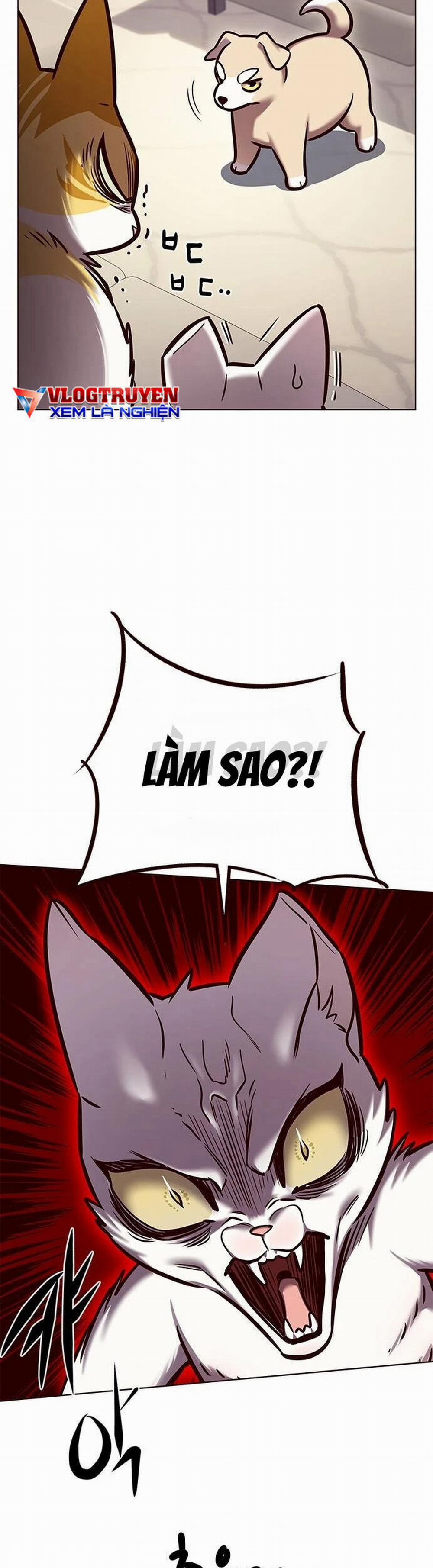Hóa Thân Thành Mèo 279 trang 49