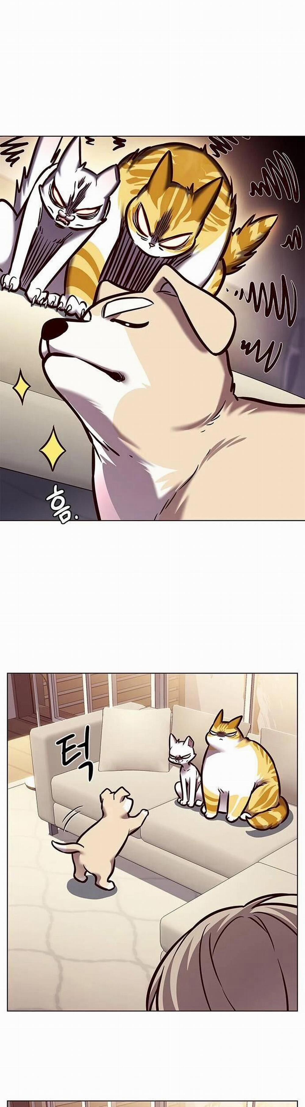 Hóa Thân Thành Mèo 279 trang 51